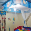 Bed Canopies
