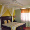 Bed Canopies